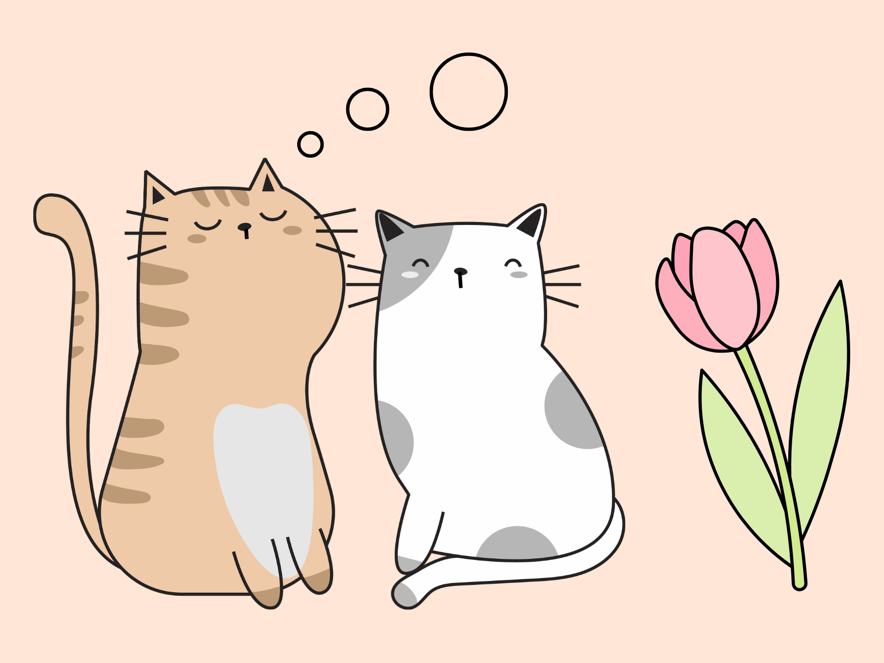 【連載06】冬と猫、「かわいい！」の裏側にある生態学