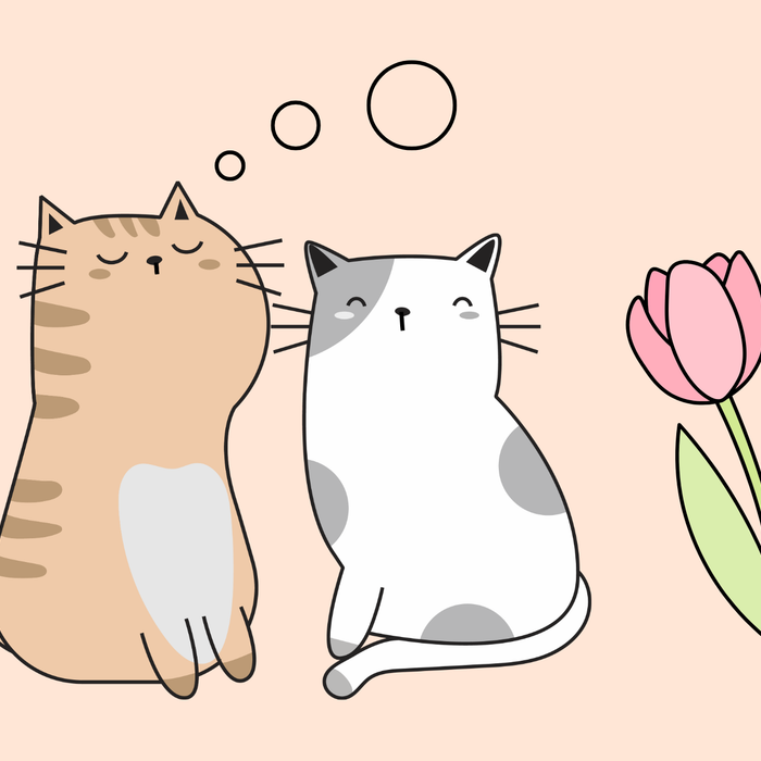 【連載06】冬と猫、「かわいい！」の裏側にある生態学