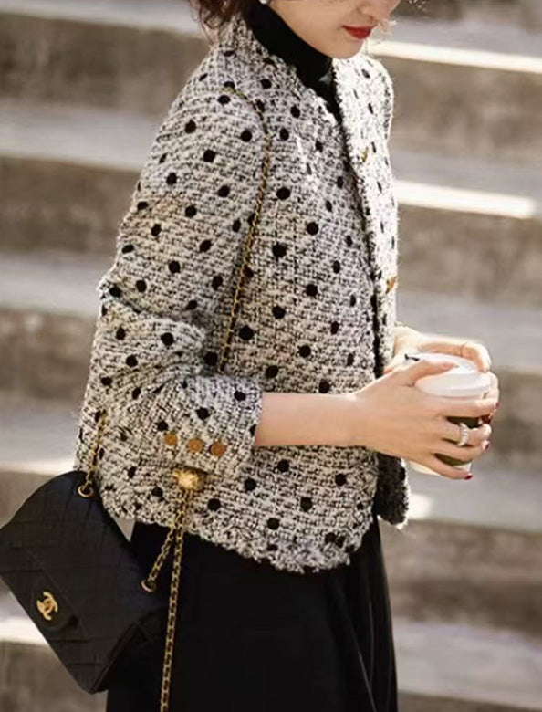 ドット柄ツイード調ジャケット | Northmall（ノースモール）暮らしを