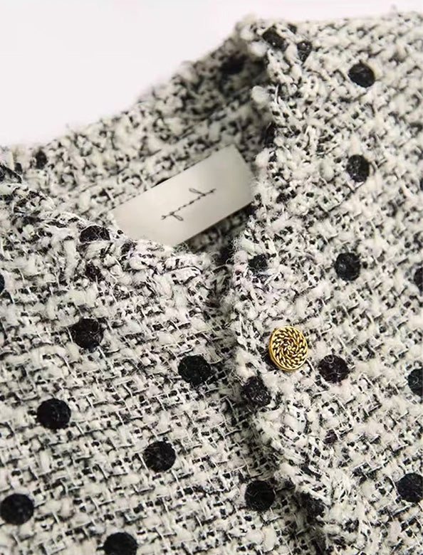 ドット柄ツイード調ジャケット | Northmall（ノースモール）暮らしを