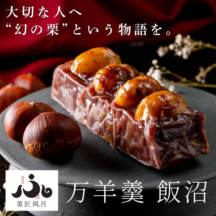 【お取り寄せ(送料込)】＜菓匠風月＞万羊羹　飯沼