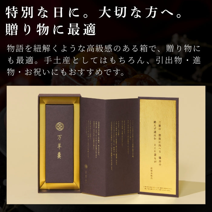 【お取り寄せ(送料込)】＜菓匠風月＞万羊羹　飯沼