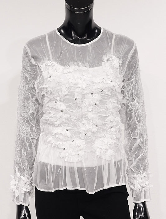 ＜SPECCHIO＞シアーGプリーツ プルオーバー