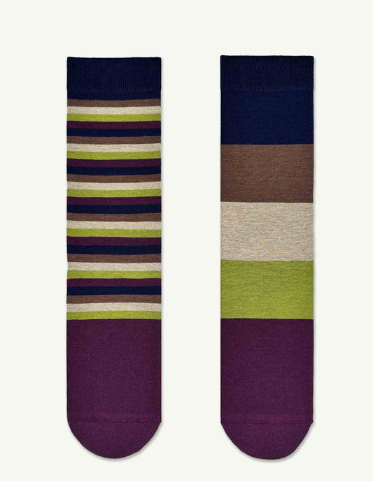 ダスクボーター・dusk_border