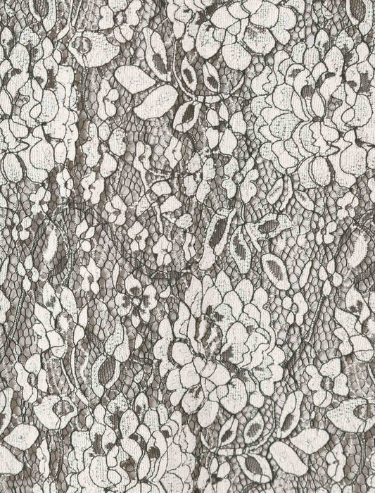 起毛レースパイピングナロースカート