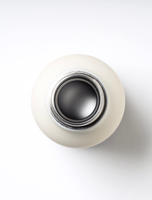 ＜asobu＞ステンレスキャラクター Holiday Bottle