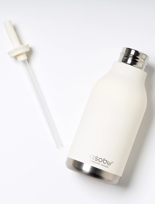 ＜asobu＞ステンレスキャラクター Holiday Bottle