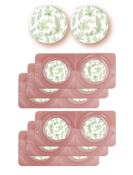 ながら温タブレットよもぎ12Pセット