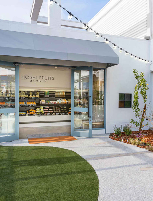 【受注】ホシフルーツナッツとドライフルーツの贅沢ブラウニー（１２個入り）