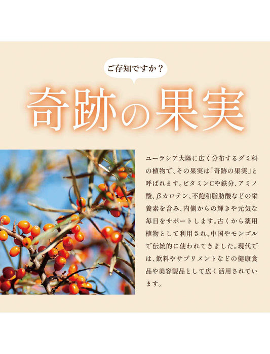 【お取り寄せ(送料込)】濃縮サジー酢500ml瓶