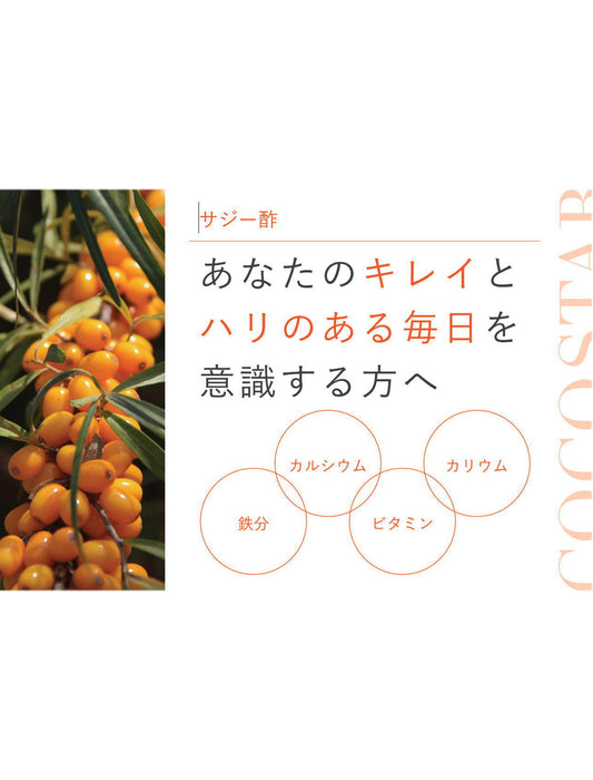 【お取り寄せ(送料込)】濃縮サジー酢500ml瓶