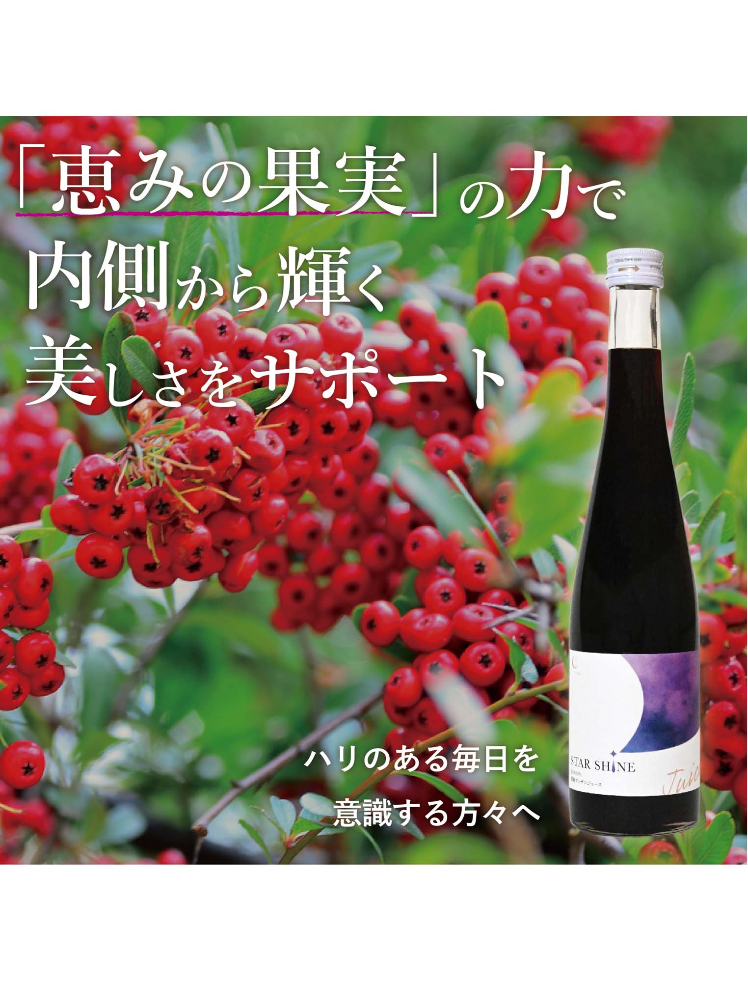 お取り寄せ(送料込)】濃縮サンザシ酢500ml瓶 | Northmall（ノース