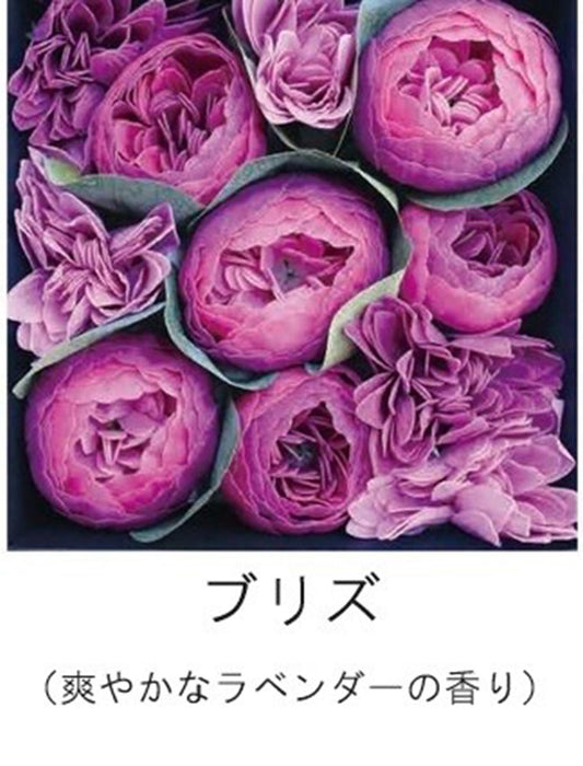 【入浴剤】シャン・ド・フルールボックスバスペタル