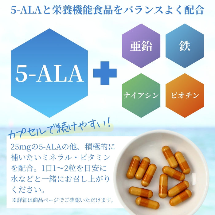 ALAVITAL（アラヴァイタル）30カプセル入り　アルミパウチ