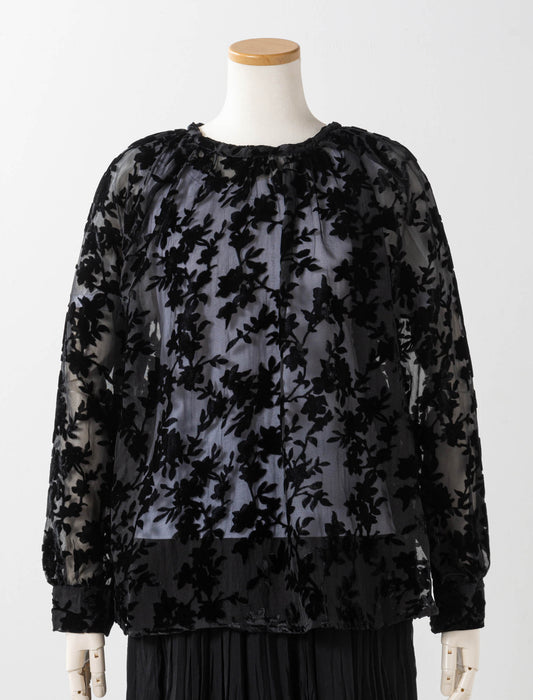 ベロアオパール