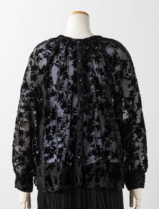 ベロアオパール