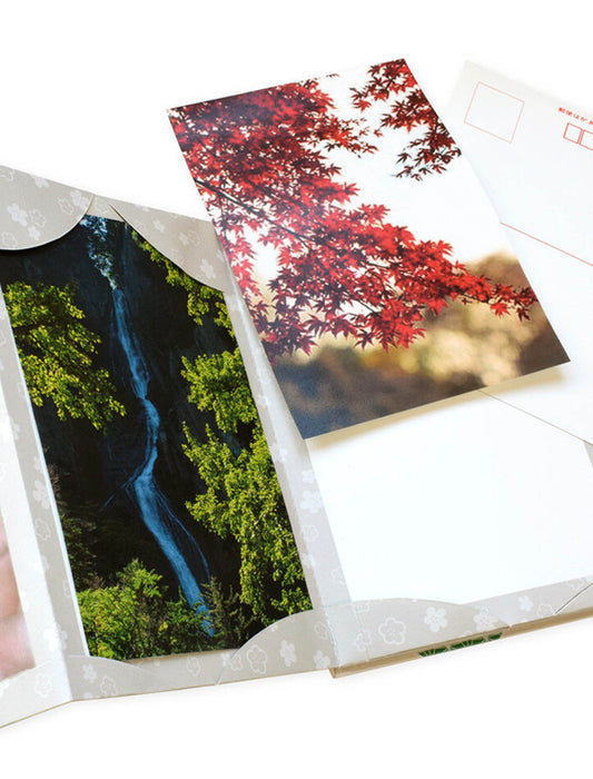 【ミッフィー】書き置き御朱印帳 立涌梅