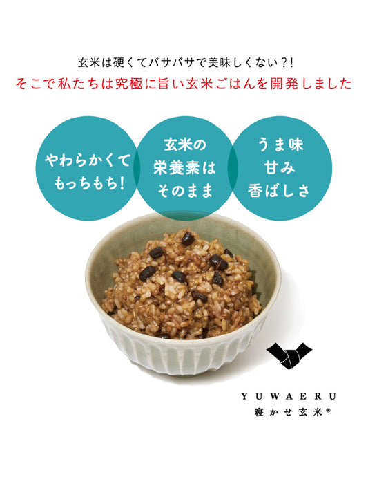 寝かせ玄米ごはんパック4種　12食セット