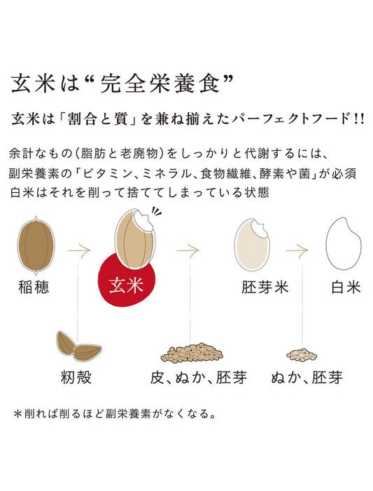 寝かせ玄米ごはんパック4種　12食セット