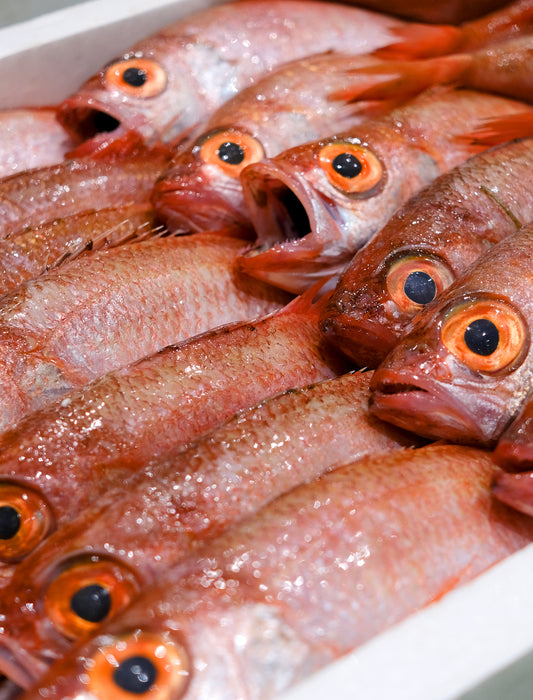 【お取り寄せ(送料込)】のどぐろ特大２枚セット（木箱入）