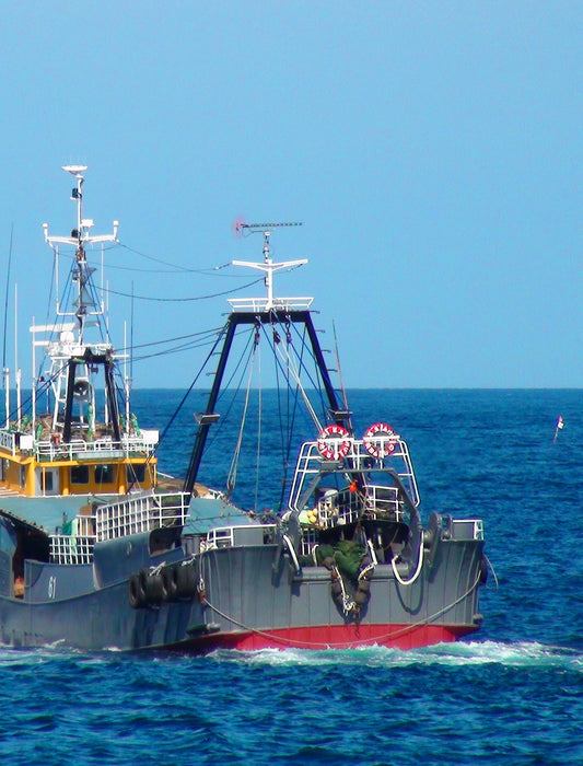 【お取り寄せ(送料込)】のどぐろ特大２枚セット（木箱入）