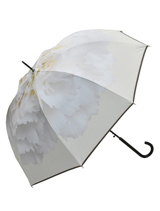 ワンタッチジャンプ/カーネーション