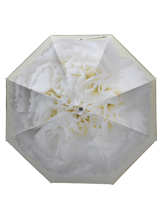 ワンタッチジャンプ/カーネーション