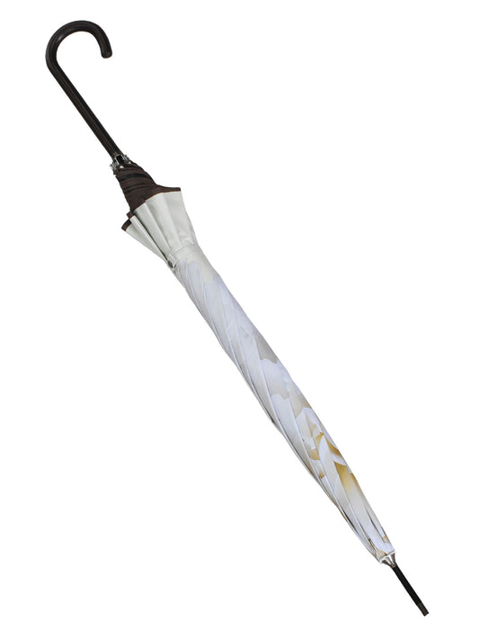 ワンタッチジャンプ/カーネーション