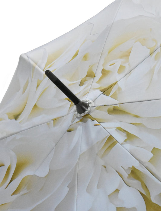 ワンタッチジャンプ/カーネーション