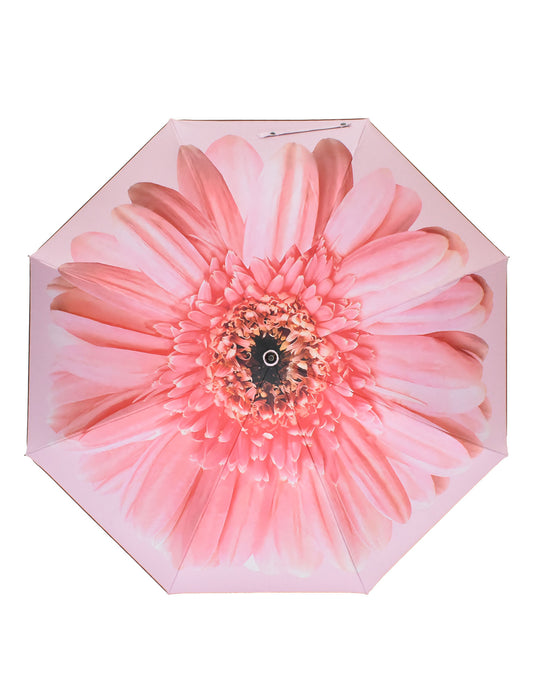 ワンタッチジャンプ/ガーベラ