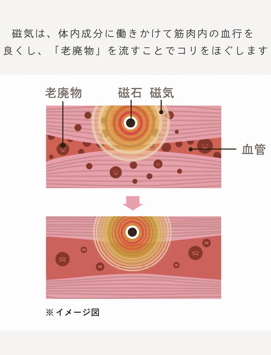 ピップエレキバンコラボ【管理医療機器】腰こりらっくすLUXE ペアショーツ