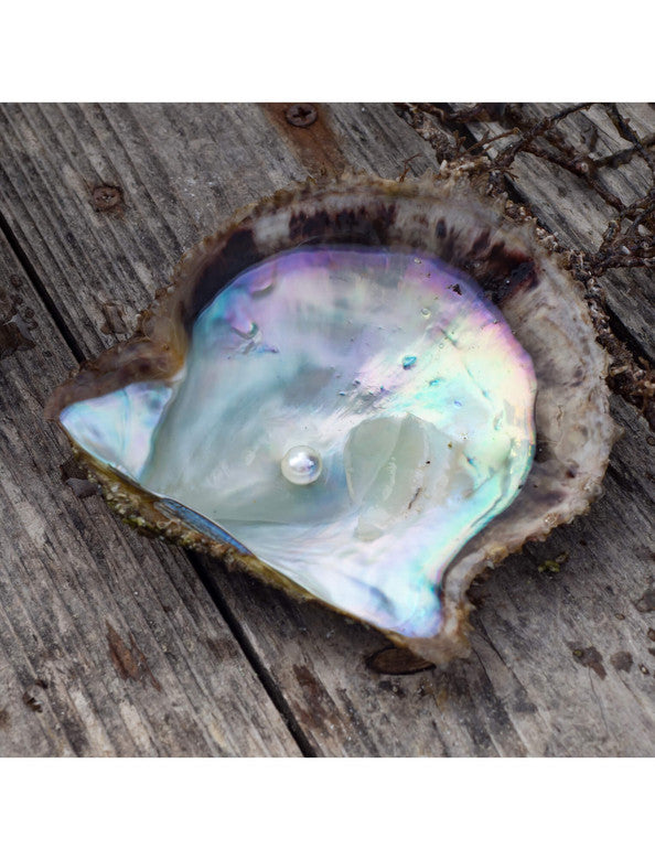 679252_99.jpg?v=1650017317