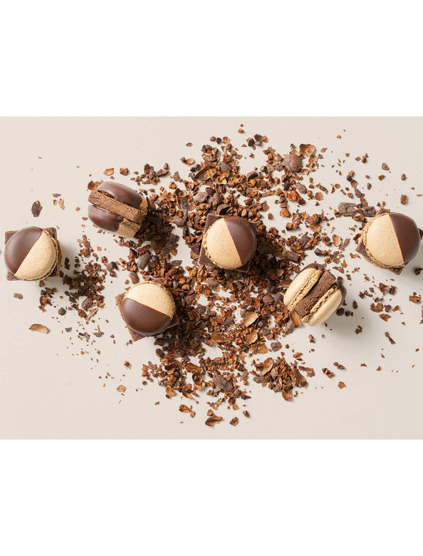 721773_99.jpg?v=1650019050